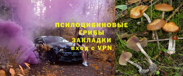 тгк Алексин