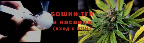 тгк Алексин
